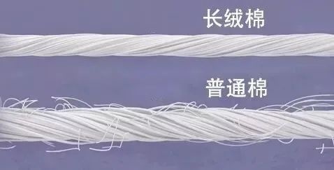 涂層機(jī),定型機(jī),地毯機(jī),地毯背膠機(jī),靜電植絨機(jī)