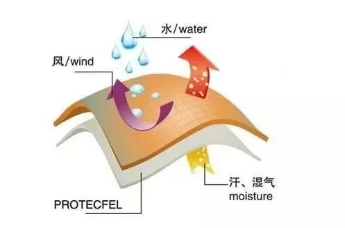 定型機,涂層機,地毯機,地毯背膠機,靜電植絨機